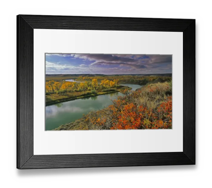 Framed Print : The Marias River in autumn in Liberty County, Montana, USA Framed Print : The Marias River in autumn in Liberty County, Montana, USA