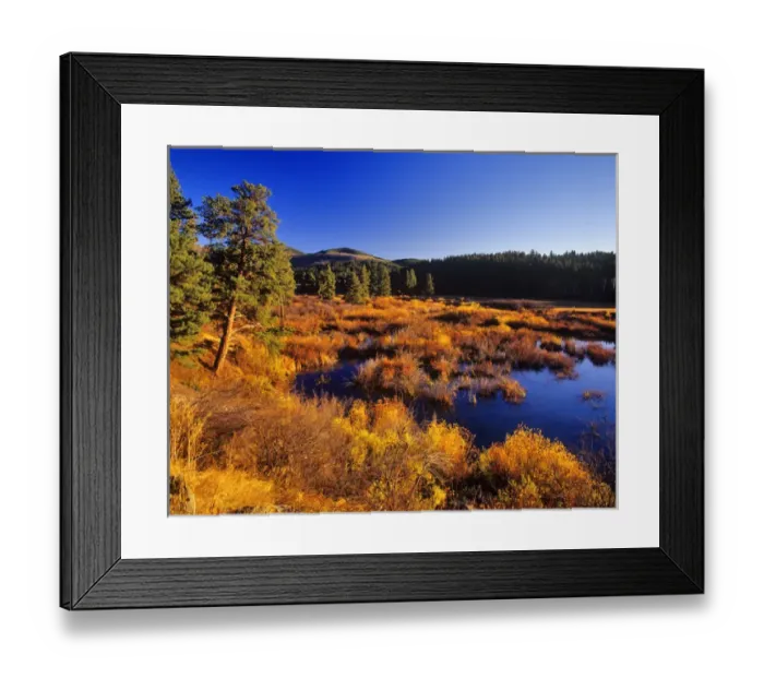 Framed Print : Warm Spring Creek wetlands in autumn in the Judith Mountains near Lewistown, Montana, USA Framed Print : Warm Spring Creek wetlands in autumn in the Judith Mountains near Lewistown, Montana, USA