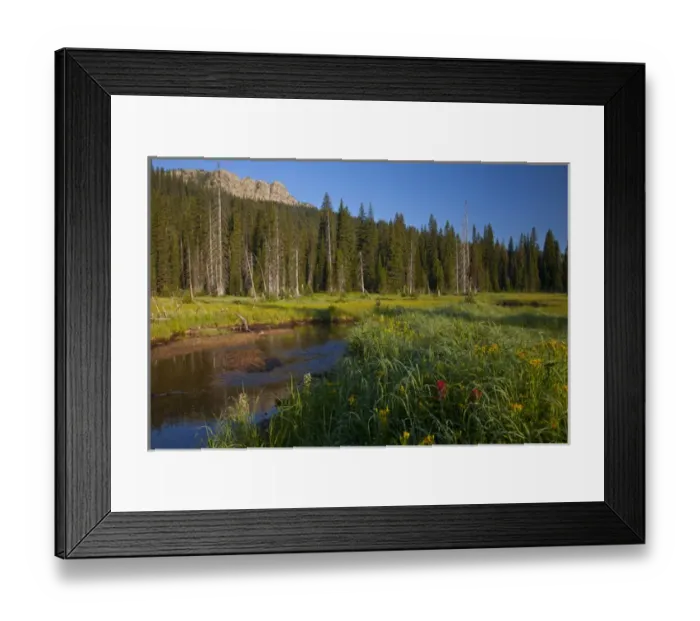Framed Print : Big Therriault Creek runs through lush summer meadow below St Clair Peak in the Ten Framed Print : Big Therriault Creek runs through lush summer meadow below St Clair Peak in the Ten