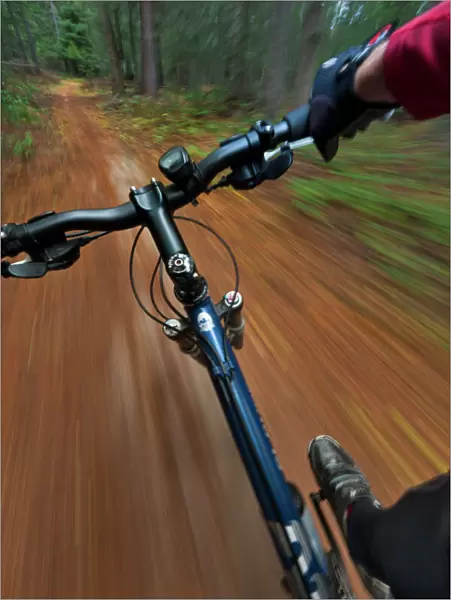 Point of view of singletrack riding at the Pig Farm Trails near Whitefish, Montana, USA