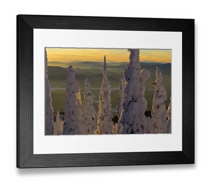 Framed Print : Snowghosts at sunset looking west to the Salish Mountains from the summit of Big Framed Print : Snowghosts at sunset looking west to the Salish Mountains from the summit of Big