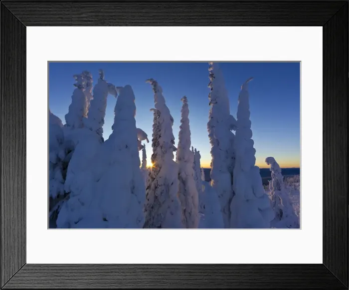 Framed Print : Snowghosts at sunset looking west to the Salish Mountains from the summit of Big
