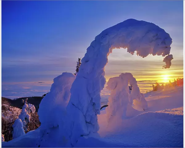 Snowghosts at sunset on Big Mountain in the Whitefish Range in Whitefish, Montana, USA