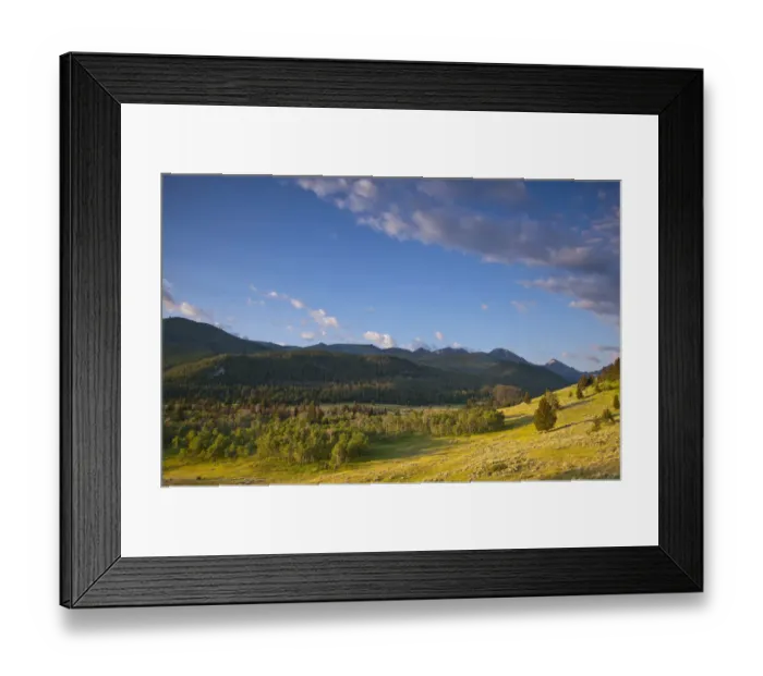 Framed Print : The Gallatin Mountain Range above Spanish Creek in the Gallatin National Forest near Bozeman Framed Print : The Gallatin Mountain Range above Spanish Creek in the Gallatin National Forest near Bozeman