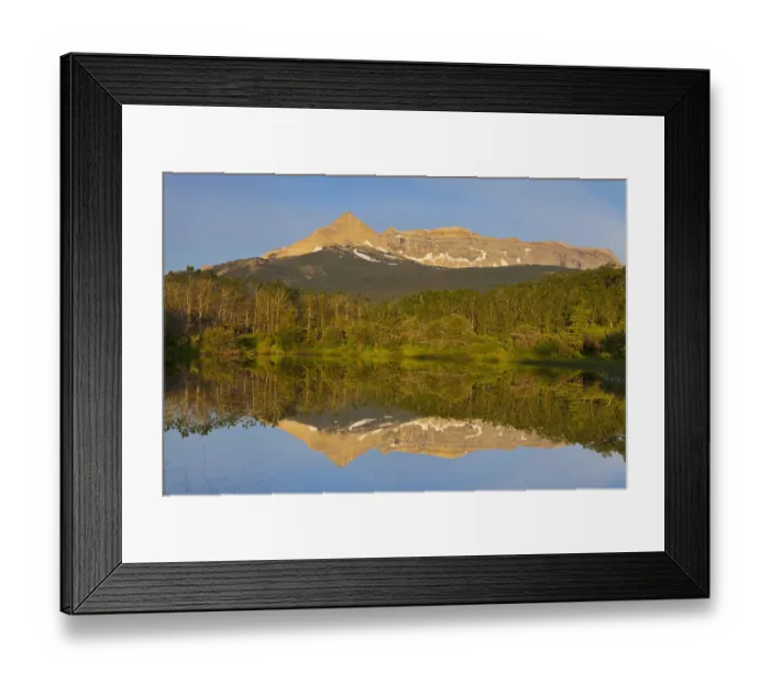 Framed Print : Sherburne Peak and Yellow Mountain reflect into aspen lined pond on the Blackfeet Framed Print : Sherburne Peak and Yellow Mountain reflect into aspen lined pond on the Blackfeet