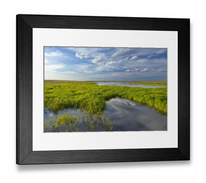 Framed Print : Prairie wetlands at Wards Dam in Valley County, Montana, USA Framed Print : Prairie wetlands at Wards Dam in Valley County, Montana, USA