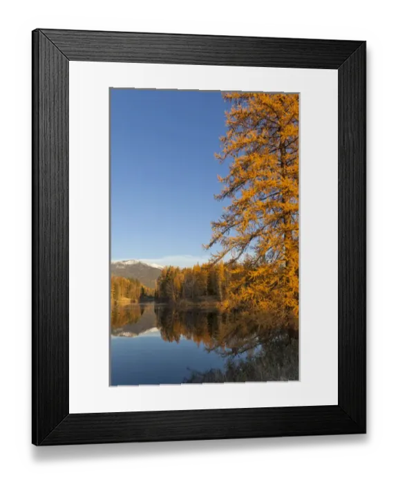 Framed Print : Jessup Mill Pond in autumn with snow capped Swan Mountains near Creston, Montana, USA Framed Print : Jessup Mill Pond in autumn with snow capped Swan Mountains near Creston, Montana, USA