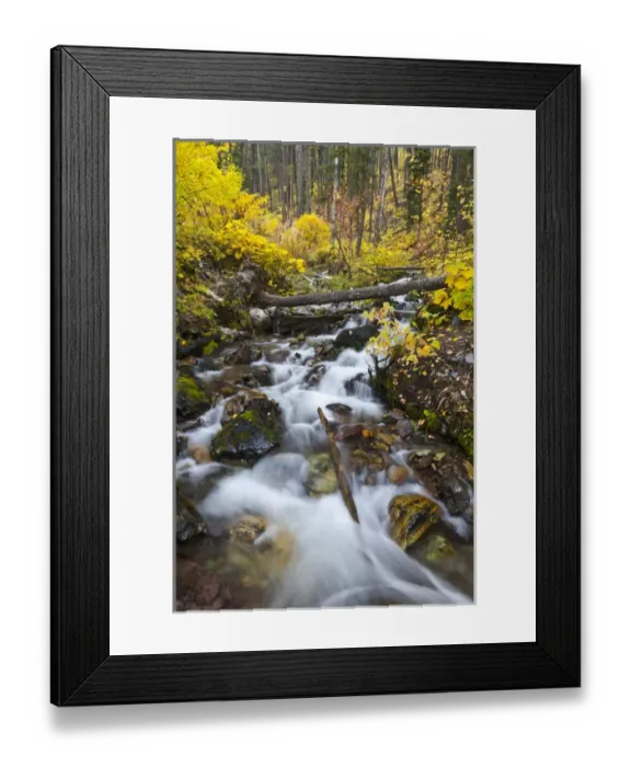 Framed Print : Hellroaring Creek decked out in autumn color near Whitefish, Montana, USA Framed Print : Hellroaring Creek decked out in autumn color near Whitefish, Montana, USA