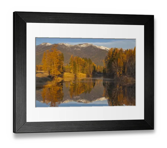 Framed Print : Jessup Mill Pond in autumn with snow capped Swan Mountains near Creston, Montana, USA Framed Print : Jessup Mill Pond in autumn with snow capped Swan Mountains near Creston, Montana, USA