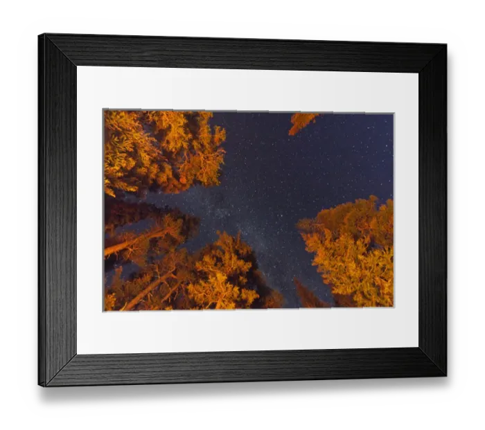 Framed Print : Looking up at starry skies from my campsite at Two Medicine in Glacier National Park Framed Print : Looking up at starry skies from my campsite at Two Medicine in Glacier National Park