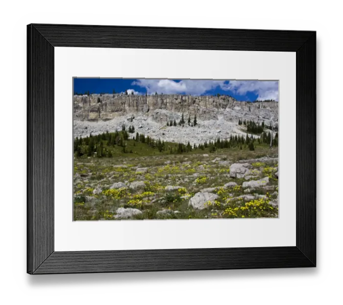 Framed Print : North America, USA, Montana, Rocky Mountains, Continental Divide, Chinese Wall, meadow Framed Print : North America, USA, Montana, Rocky Mountains, Continental Divide, Chinese Wall, meadow