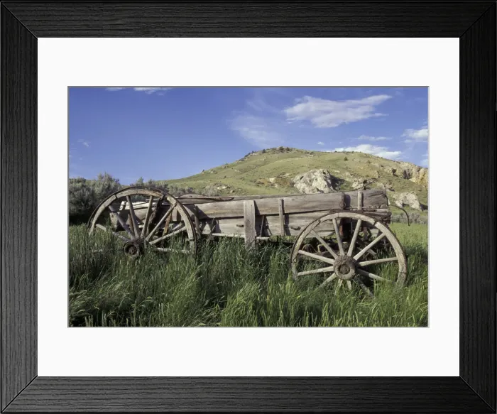 Framed Print : NA, USA, Montana, Bannack Old wagon made of wood in green grass near mining ghost