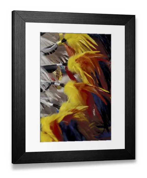 Framed Print : NA, USA, Montana, Arlee Feathers on Native American outfit at annual Arlee Powwow