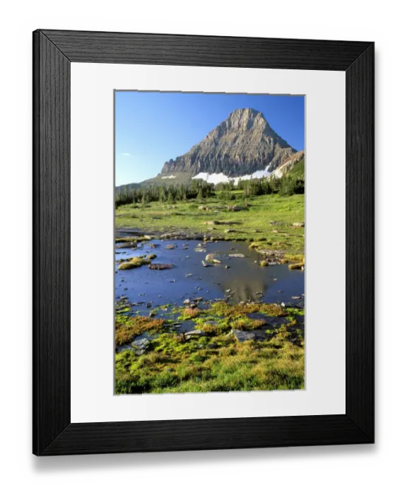 Framed Print : North America, USA, Montana, Glacier National Park. Reynolds Mountain reflected in Framed Print : North America, USA, Montana, Glacier National Park. Reynolds Mountain reflected in