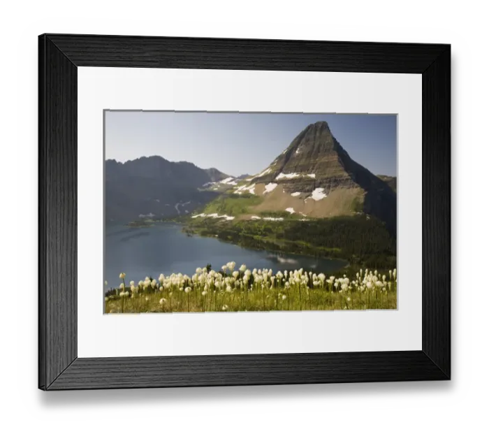 Framed Print : MT, Glacier National Park, Logan Pass, Hidden Lake and Bearhat Mountain with beargrass Framed Print : MT, Glacier National Park, Logan Pass, Hidden Lake and Bearhat Mountain with beargrass