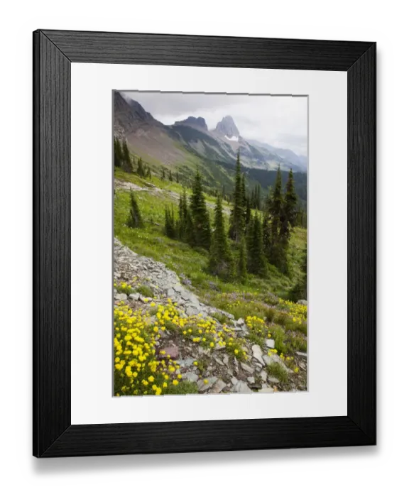 Framed Print : MT, Glacier National Park, View from Highline Trail to Granite Park Chalet Framed Print : MT, Glacier National Park, View from Highline Trail to Granite Park Chalet