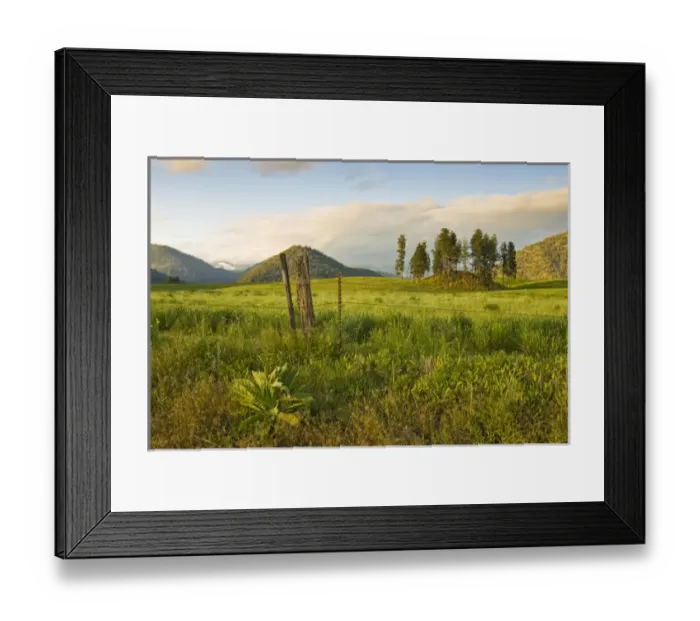 Framed Print : North America, USA, Montana, Lolo, Farm at sunset Framed Print : North America, USA, Montana, Lolo, Farm at sunset