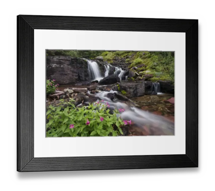 Framed Print : Waterfall and wildflowers, Waterton Glacier International Peace Park, USA - Canada Framed Print : Waterfall and wildflowers, Waterton Glacier International Peace Park, USA - Canada