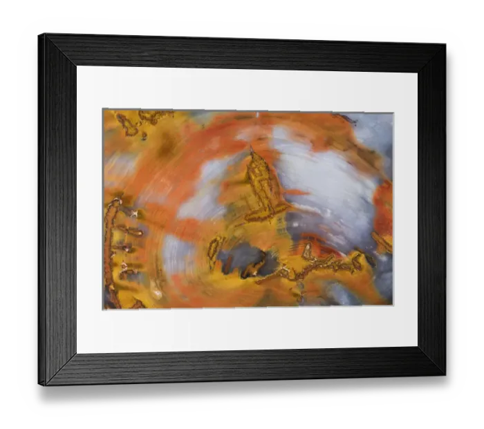 Framed Print : USA, Nevada, Hubbard Basin. Close-up of petrified wood. Credit as: Dennis Kirkland Framed Print : USA, Nevada, Hubbard Basin. Close-up of petrified wood. Credit as: Dennis Kirkland