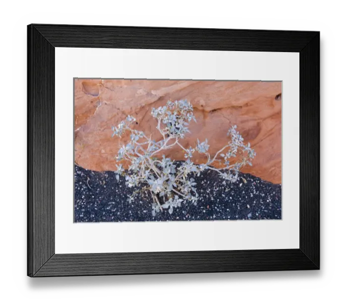 Framed Print : Valley of Fire State Park, NV Framed Print : Valley of Fire State Park, NV