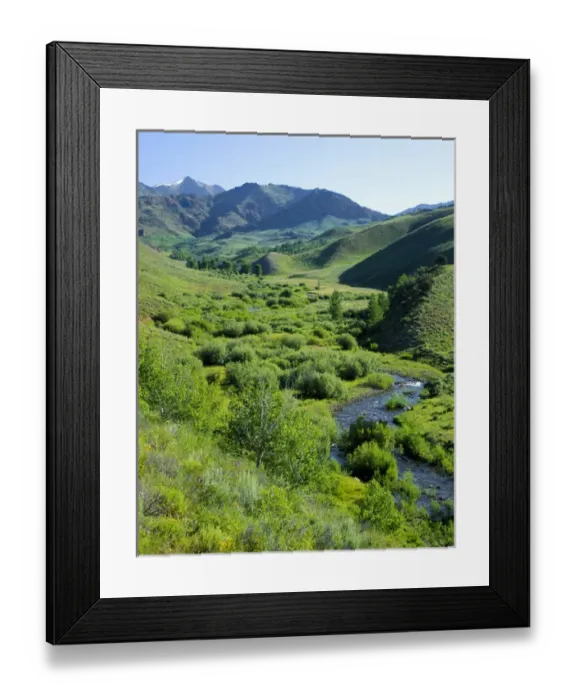 Framed Print : JARBIDGE WILDERNESS, NEVADA. USA. Marys River in Marys River Basin. Marys River Peak in distance Framed Print : JARBIDGE WILDERNESS, NEVADA. USA. Marys River in Marys River Basin. Marys River Peak in distance