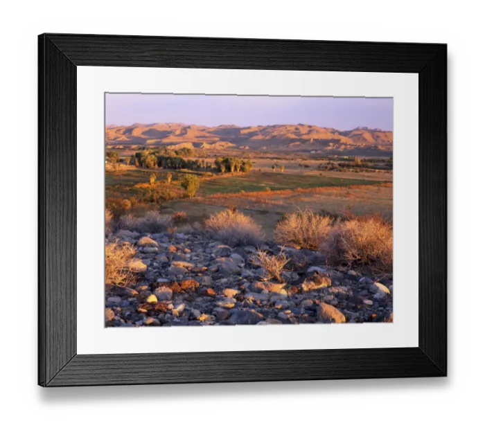 Framed Print : Nevada. USA. Desert vegetation & stones above wetlands, pastures, & palm groves at sunrise