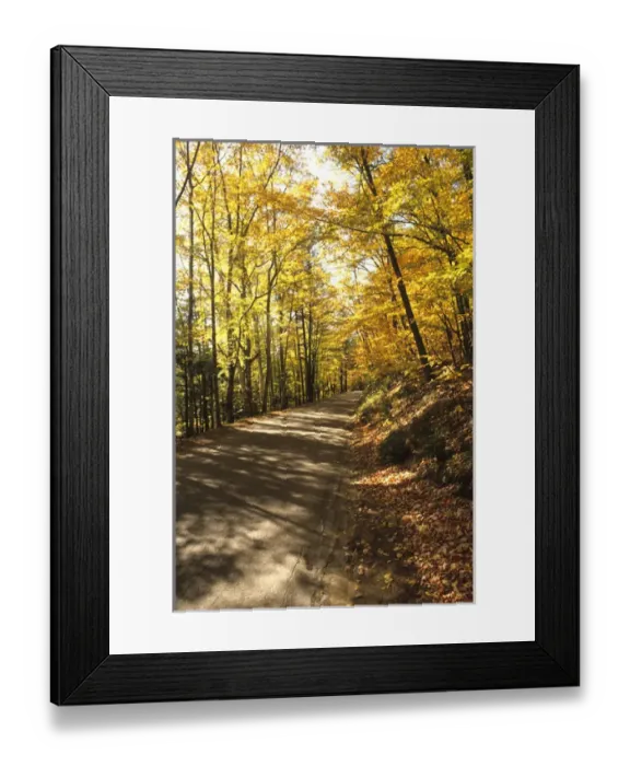 Framed Print : Tranquil Road with Fall Colors in New Hampshire Framed Print : Tranquil Road with Fall Colors in New Hampshire