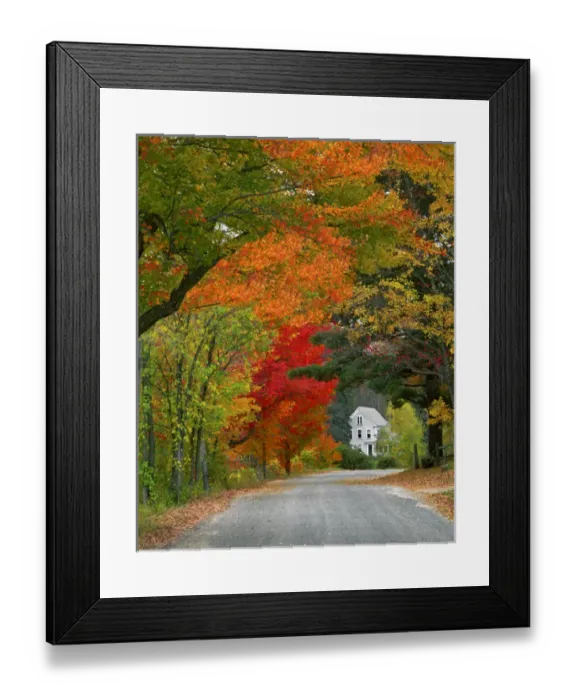 Framed Print : USA, New England, New Hampshire, Andover. Road lined in fall color. Credit as: Steve Framed Print : USA, New England, New Hampshire, Andover. Road lined in fall color. Credit as: Steve
