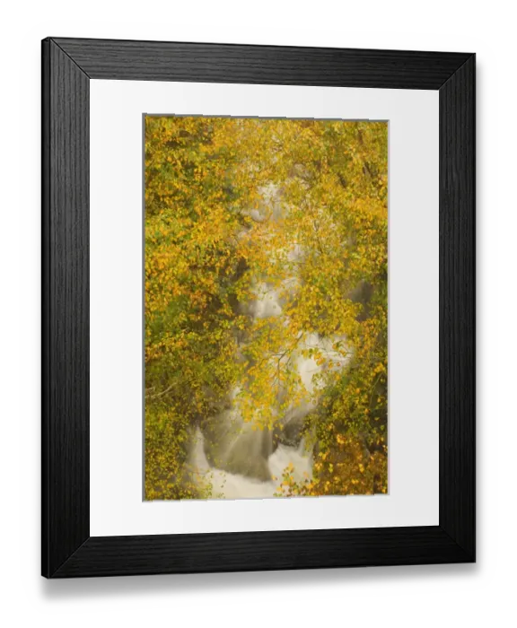 Framed Print : United States; New Hampshire; Lincoln; Franconia Notch State Park, fall foliage hanging Framed Print : United States; New Hampshire; Lincoln; Franconia Notch State Park, fall foliage hanging