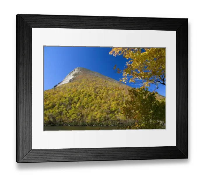Framed Print : Fall foliage at Cannon Mountain, a peak in the White Mountains located within Franconia Framed Print : Fall foliage at Cannon Mountain, a peak in the White Mountains located within Franconia