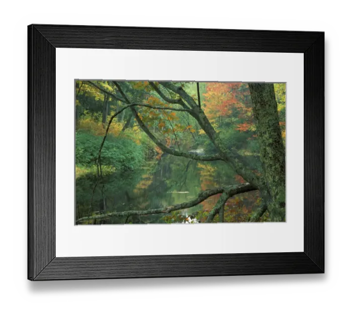 Framed Print : Fall along the Lamprey River in Durham, New Hampshire Framed Print : Fall along the Lamprey River in Durham, New Hampshire