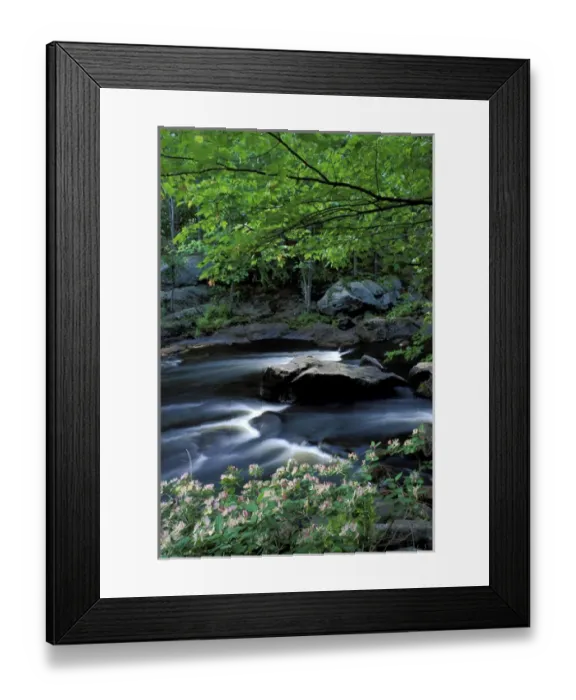 Framed Print : Spring at Packers Falls on the Lamprey River. A National Wild and Scenic River Framed Print : Spring at Packers Falls on the Lamprey River. A National Wild and Scenic River