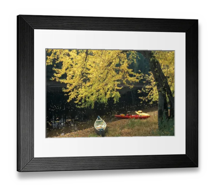 Framed Print : Boats under a silver maple on the banks of the Contoocook River in Contoocook, NH