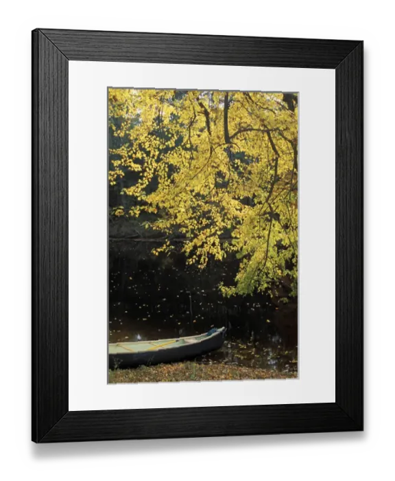 Framed Print : A canoe under a silver maple on the banks of the Contoocook River in Contoocook, NH Framed Print : A canoe under a silver maple on the banks of the Contoocook River in Contoocook, NH