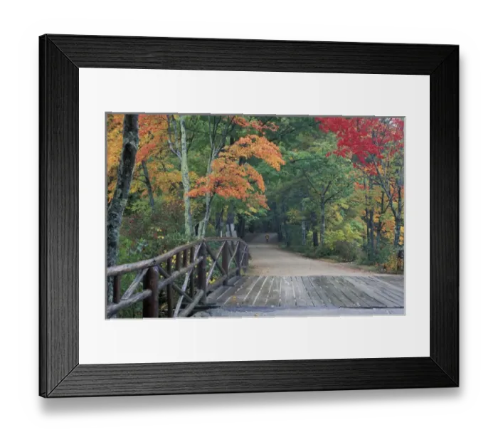 Framed Print : Chocorua Lake Road. Country Roads. Fall foliage. Tamworth, NH