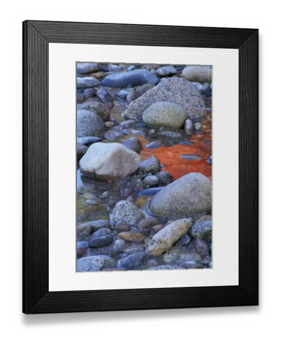 Framed Print : Saco River. Fall colors reflect in the water. Bartlett, NH Framed Print : Saco River. Fall colors reflect in the water. Bartlett, NH