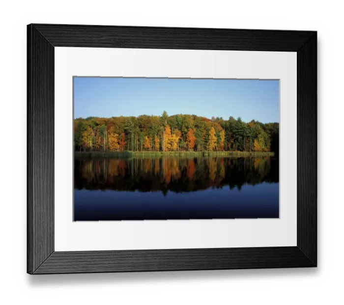 Framed Print : Peverly Pond. Fall foliage reflects in pond. Great Bay N. W. R. Newington, NH Framed Print : Peverly Pond. Fall foliage reflects in pond. Great Bay N. W. R. Newington, NH