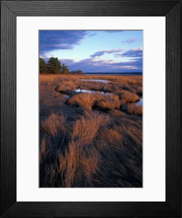 Framed Print : Tidal Estuary. Wetlands. April. Salt Marsh. Near Moody Point. Great Bay. Durham, NH Framed Print : Tidal Estuary. Wetlands. April. Salt Marsh. Near Moody Point. Great Bay. Durham, NH