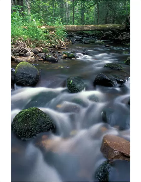 Errol, NH. A small tributary of the Androscoggin River. 13 Mile Woods. Northern Forest