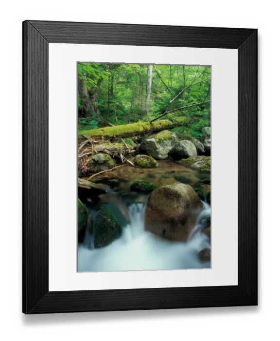 Framed Print : Sandwich, NH Wonalancet Brook and an old-growth hardwood forest in The Bowl Natural Area Framed Print : Sandwich, NH Wonalancet Brook and an old-growth hardwood forest in The Bowl Natural Area