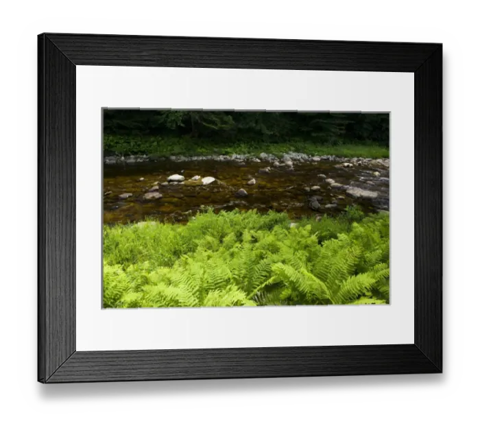 Framed Print : The Ashuelot River in Surry, New Hampshire. Connecticut River tributary Framed Print : The Ashuelot River in Surry, New Hampshire. Connecticut River tributary