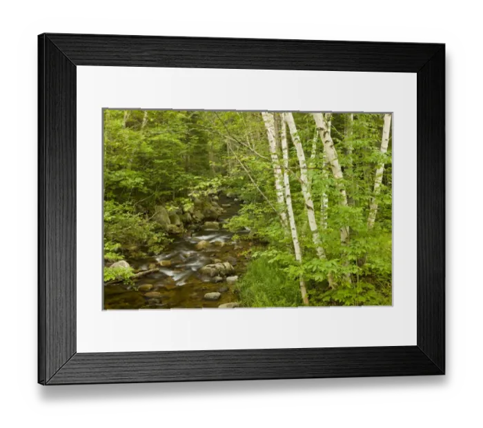 Framed Print : Moose Brook at Moose Brook State Park in Gorham, new Hampshire Framed Print : Moose Brook at Moose Brook State Park in Gorham, new Hampshire
