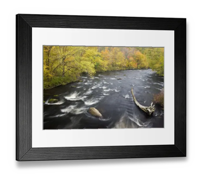 Framed Print : The Ashuelot River in Ashuelot, New Hampshire. Fall Framed Print : The Ashuelot River in Ashuelot, New Hampshire. Fall