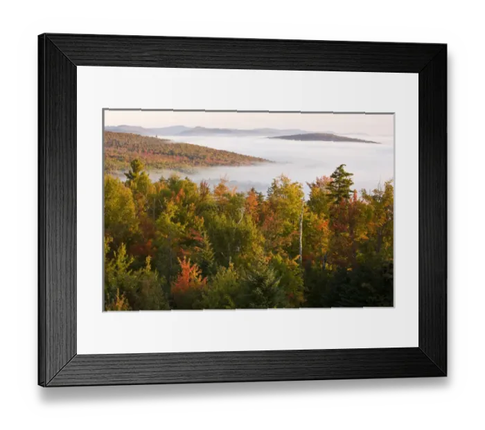Framed Print : Morning fog as seen from the fire tower at Milan Hill State Park in Milan, New Hampshire Framed Print : Morning fog as seen from the fire tower at Milan Hill State Park in Milan, New Hampshire