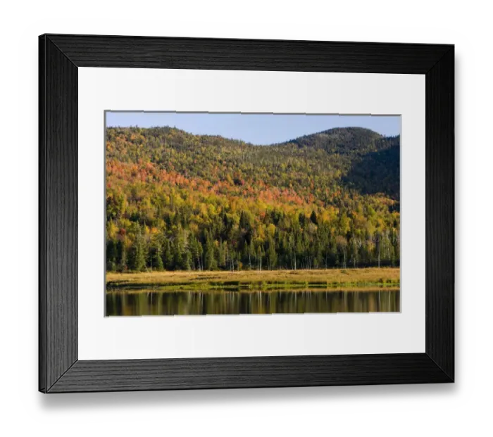 Framed Print : Fall at Big Brook Bog in Pittsburgh, New Hampshire Framed Print : Fall at Big Brook Bog in Pittsburgh, New Hampshire
