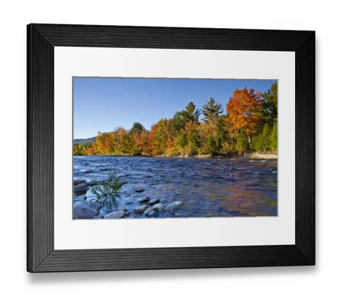 Framed Print : The Swift River in New Hampshires White Mountains. Albany, New Hampshire. Fall Framed Print : The Swift River in New Hampshires White Mountains. Albany, New Hampshire. Fall