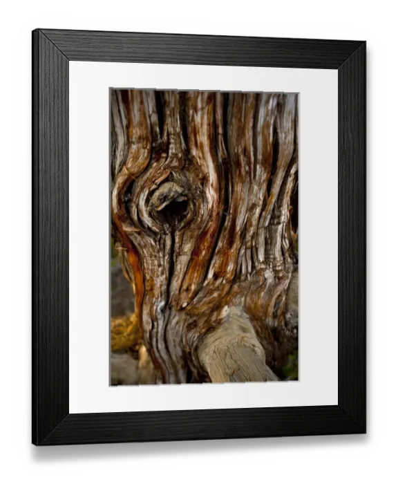 Framed Print : North America, USA, New Mexico, Ice Cave and Bandera Volcano, Lava Scarred and gnarled Framed Print : North America, USA, New Mexico, Ice Cave and Bandera Volcano, Lava Scarred and gnarled
