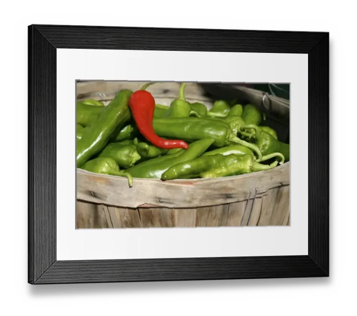 Framed Print : Santa Fe, New Mexico, United States. Red and green chile are the main regional dish Framed Print : Santa Fe, New Mexico, United States. Red and green chile are the main regional dish