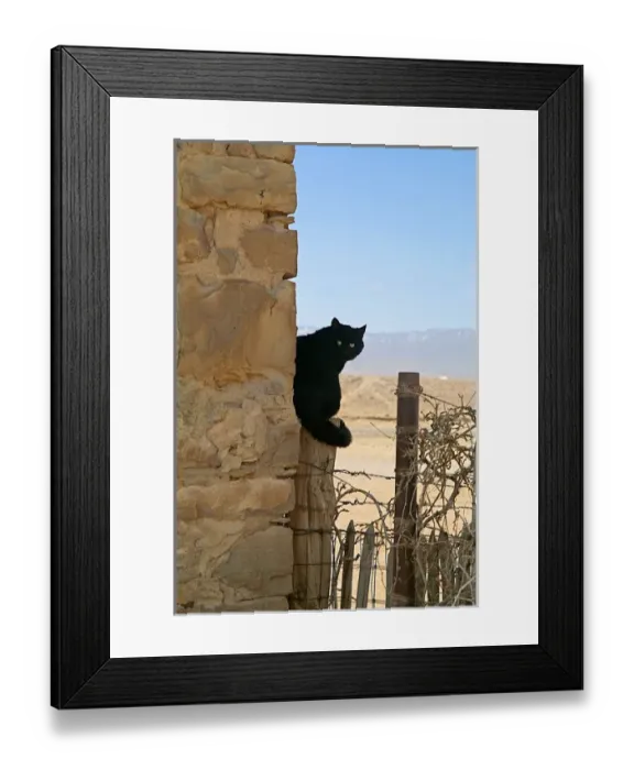 Framed Print : Navajo land, New Mexico, United States. Black cat on post Framed Print : Navajo land, New Mexico, United States. Black cat on post