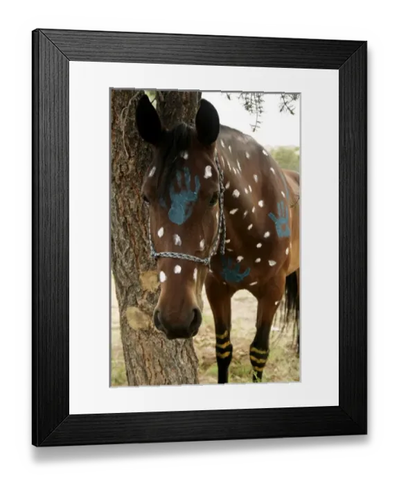 Framed Print : Nambe Pueblo, New Mexico, United States. Preparing horses for war dance